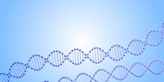 国営石油・ガス複合企業PTT社は「若返りDNA」を商品化する計画【タイ：ヘルスケア】