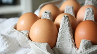 ベタグロ社がシンガポール鶏卵企業を買収【タイ・シンガポール：食品】　