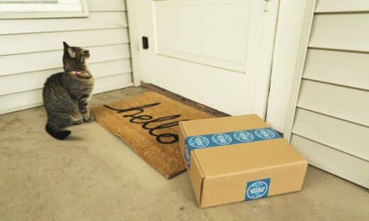 brown tabby cat on brown cardboard box