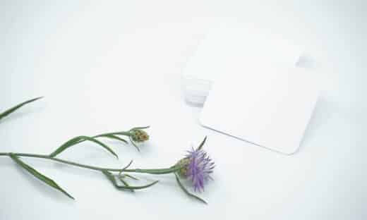 purple flower beside white apple airpods