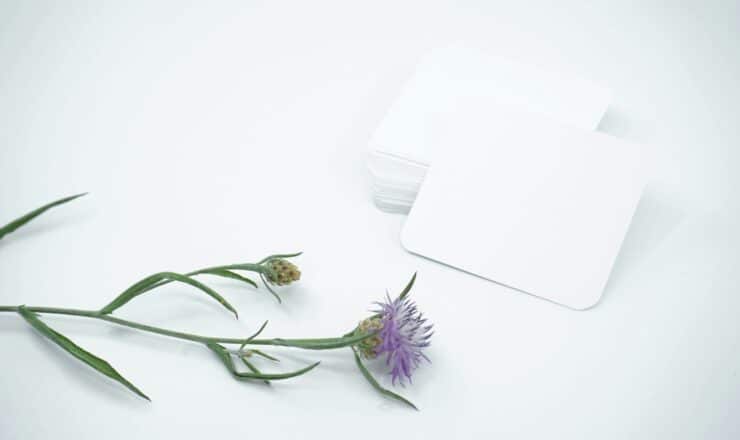 purple flower beside white apple airpods