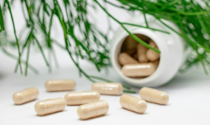 a group of nuts and a plant