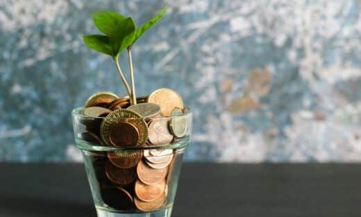green plant in clear glass vase