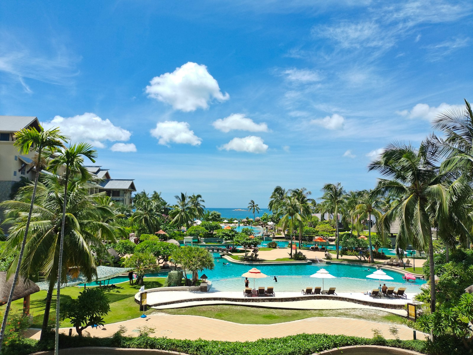 green palm trees near swimming pool under blue sky during daytime